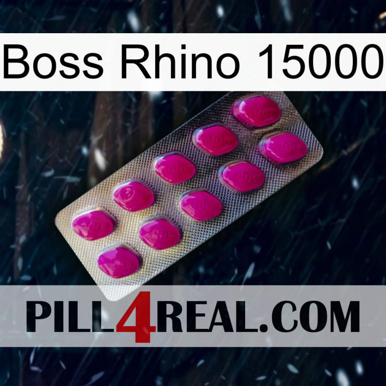 Boss Rhino 15000 09